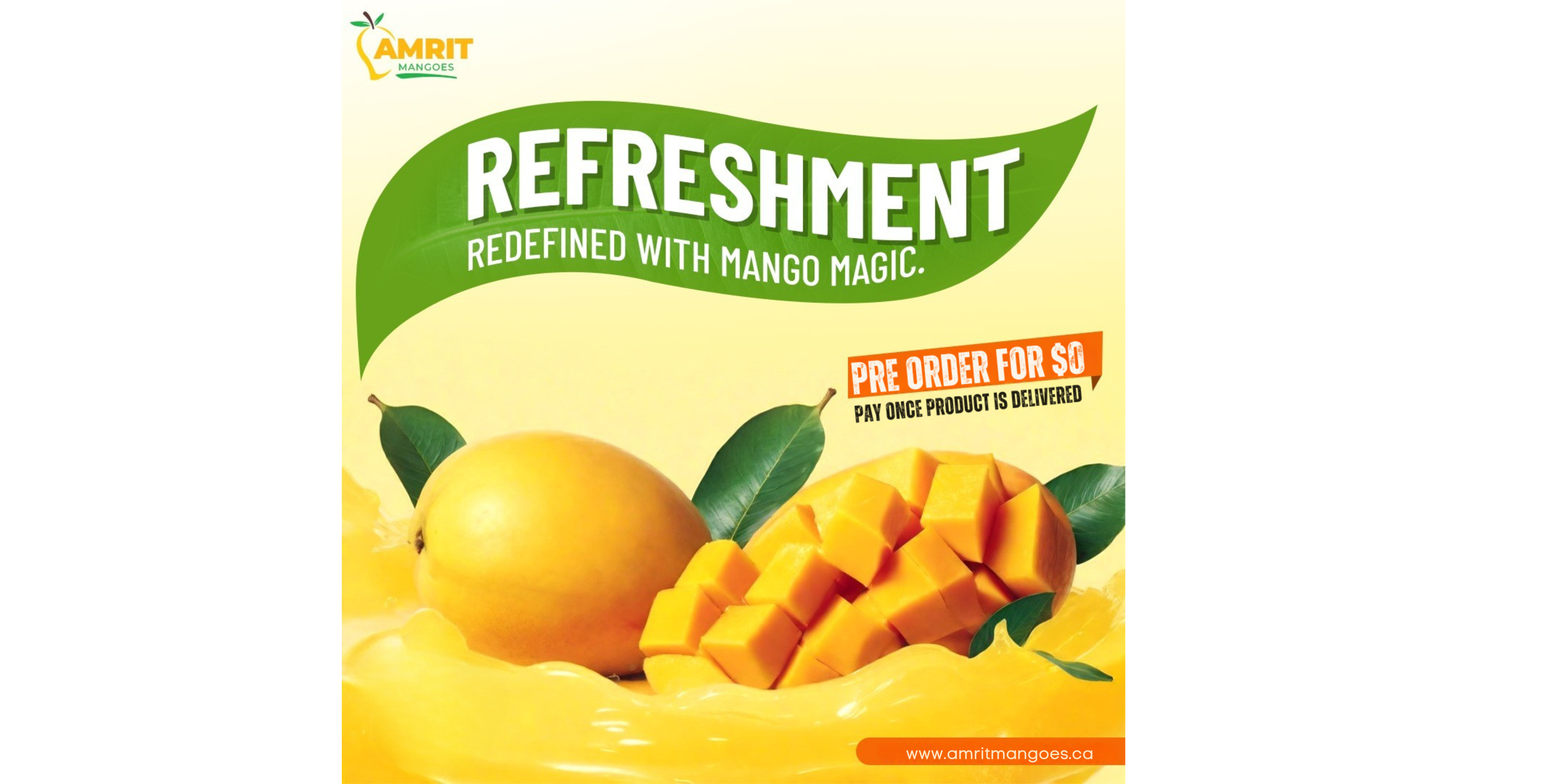 Mango farm
