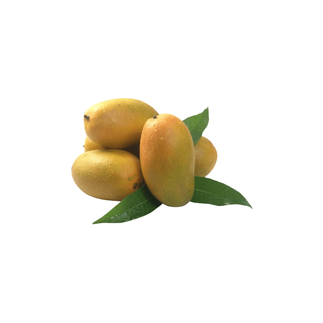 Dasheri Mango